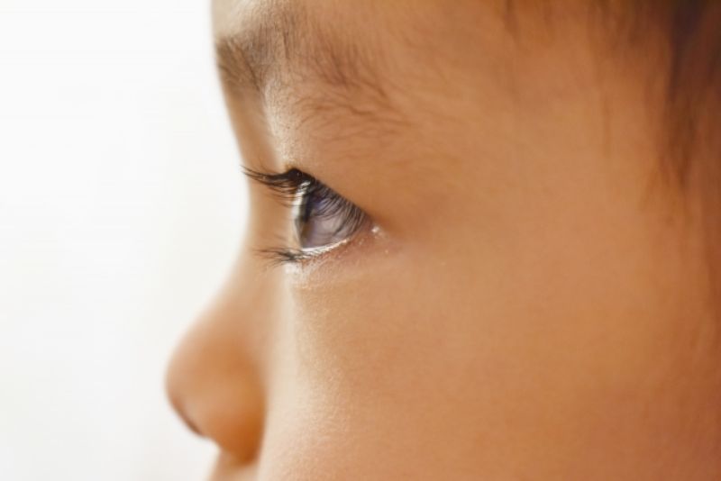 子どもが集中している