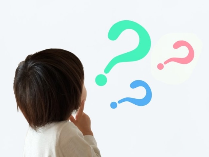 お知らせや予定